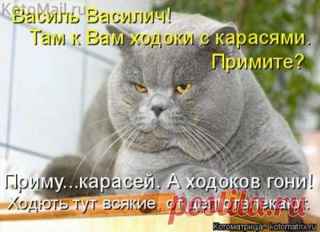 Карасей приму