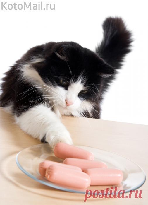 Я всю жизнь сосиски ела бы и на завтрак, и на обед...