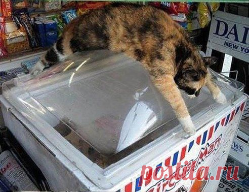 Когда - "Ну нереально жарко!"... А КАК ВЫ СПАСАЕТЕСЬ ОТ ЖАРЫ? ))