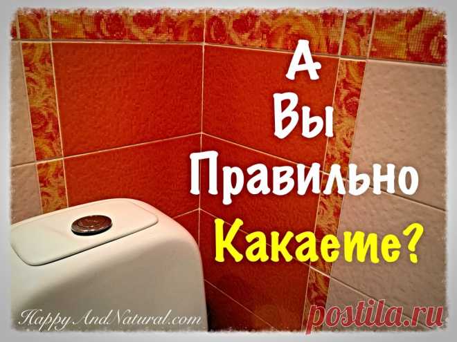 Как правильно какать (это не шутка!) - Happy & Natural