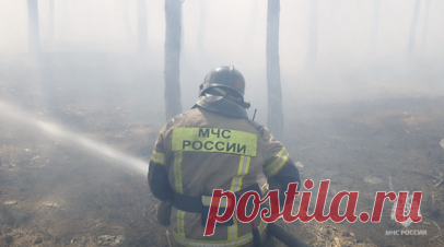 В Севастополе локализовали крупный пожар в районе Камышового шоссе. В Севастополе сотрудники МЧС России локализовали крупный пожар в районе Камышового шоссе. Читать далее