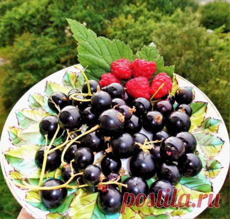 С замечательной и доброй субботой всех! Прекрасного отдыха)))😍☀🍓💥❤