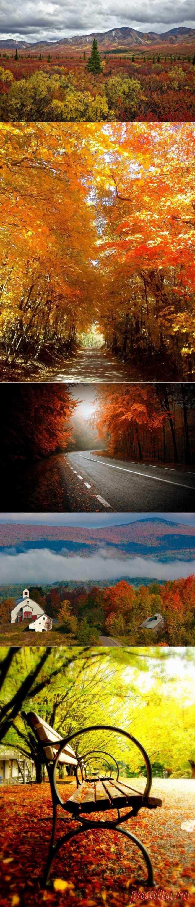 Красивая осень