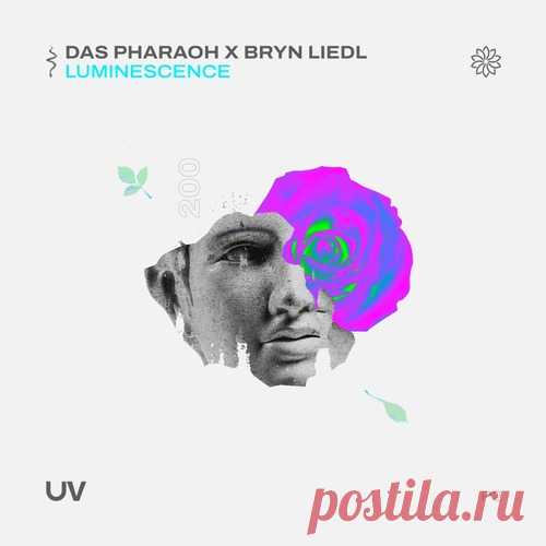Bryn Liedl, Das Pharaoh – Luminescence [FSOEUV200P2]