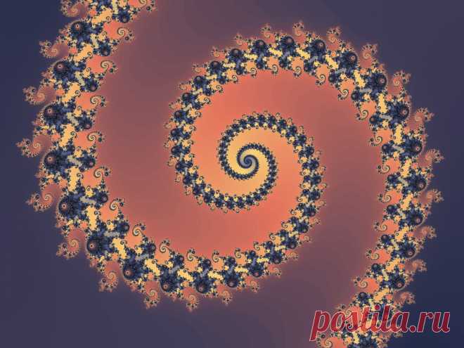 Patterned Fractal Spiral  Free Stock Photo HD - Public Domain Pictures