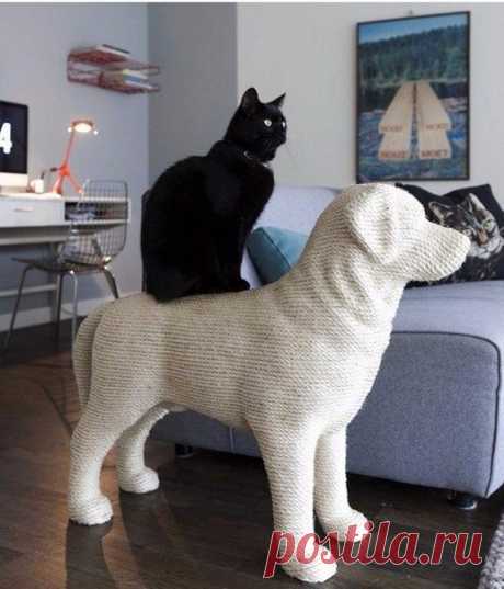 Когтеточка для кота )