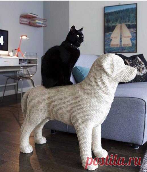 Когтеточка для кота )