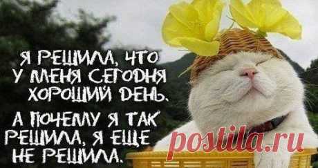 Одноклассники