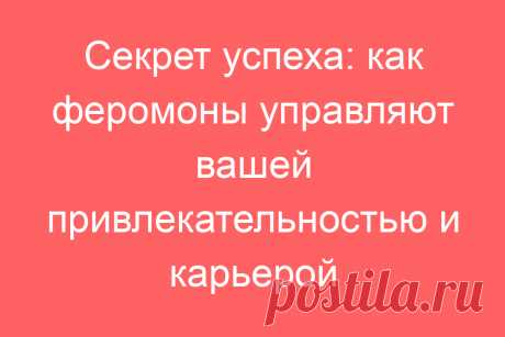 Секрет успеха: как феромоны управляют вашей привлекательностью и карьерой
