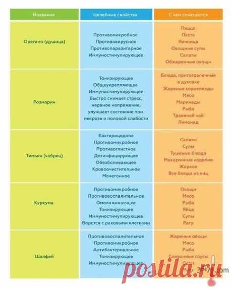 Татьяна Берковская