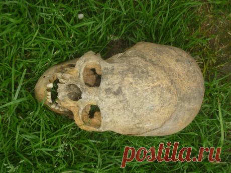 Кладбища инопланетян на Земле - ТАЙНЫ ПЛАНЕТЫ ЗЕМЛЯ - медиаплатформа МирТесен