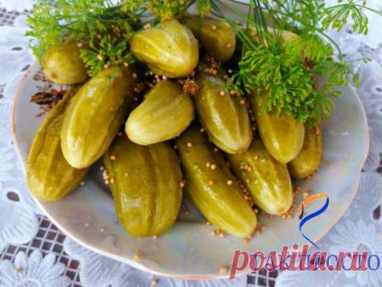 (34) Одноклассники