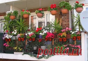 ХОТИТЕ РОСКОШНЫЙ ЦВЕТНИК В КВАРТИРЕ? ТОГДА ЗАПОМИНАЙТЕ СЕКРЕТИКИ
Секрет роскошного комнатного цветника прост: растения нужно хорошо подкармливать, иначе не дождаться ни пышной листвы, ни хорошего цветения. Жесткая 