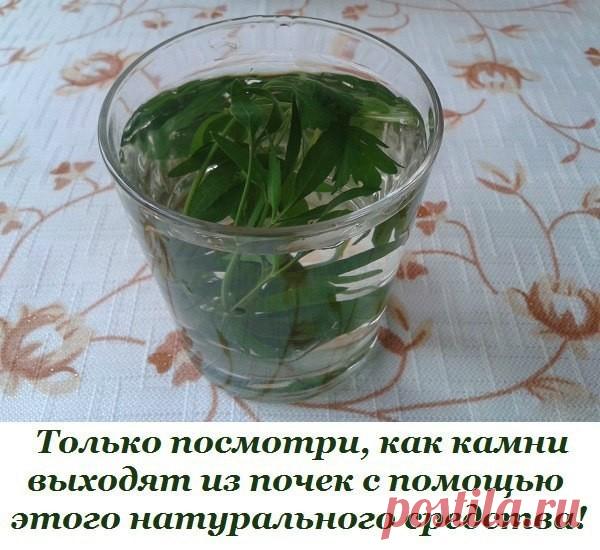 (1) Одноклассники