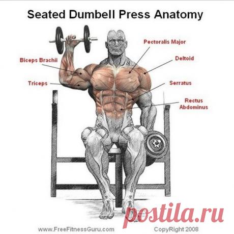 Делаем огромные плечи / Спорт Сильных!