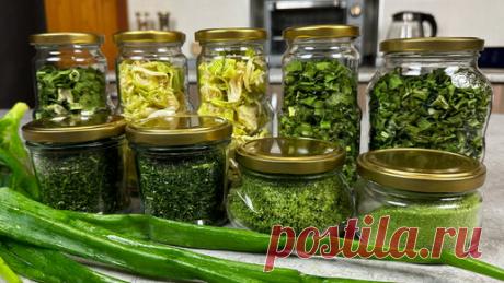 Статьи, новости и видео от популярных блогеров и СМИ | Будь в теме — будь в Дзене