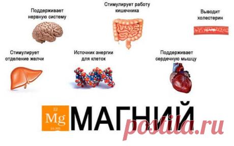 Магний глазами невролога