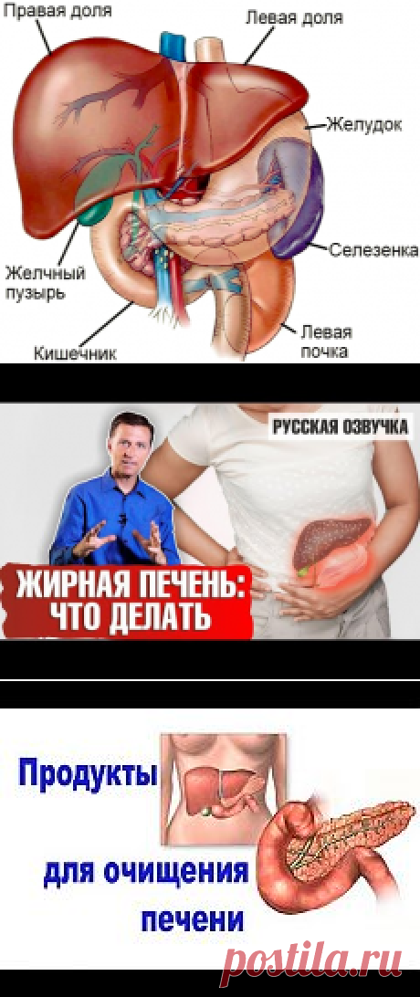 ЛЕЧИМ ПЕЧЕНЬ | Надежда Яшина | Фотографии и советы на Постиле