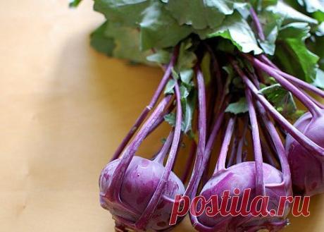 Кольраби - хрустящий и полезный овощ