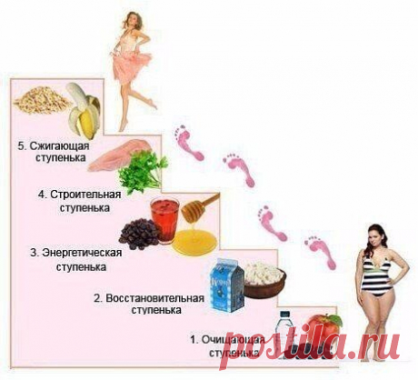 ЭТАПЫ &quot;ЛЕСЕНКА&quot;

1. Очищающий
Название первого этапа или первой ступени говорит само за себя. В этот день Вы будете заниматься очищением своего организма. Этап очень важный и полезный, отнеситесь к нему серьезно! Он помогает усилить воздействие следующих этапов, мягко подготавливая организм к похудению. Плюс на этом этапе происходит хорошее очищение организма от шлаков и токсинов. А в качестве приятного бонуса вы сможете уже потерять от 1 до 2 кг!

2. Восстановительный
Вто...