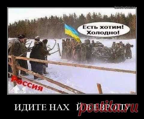 ХАРЬКОВЧАНКА ИЗ ГЕРМАНИИ ОБРАТИЛАСЬ К УКРАИНЦАМ: «ЗРЯ ВЫ ПОЛЕЗЛИ К РУССКИМ»