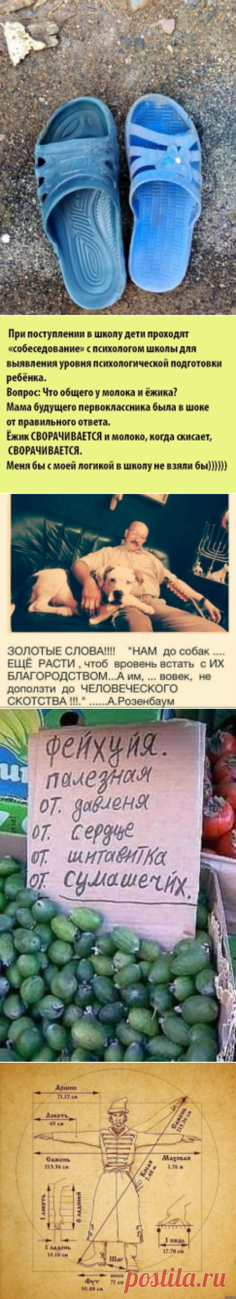 Одноклассники