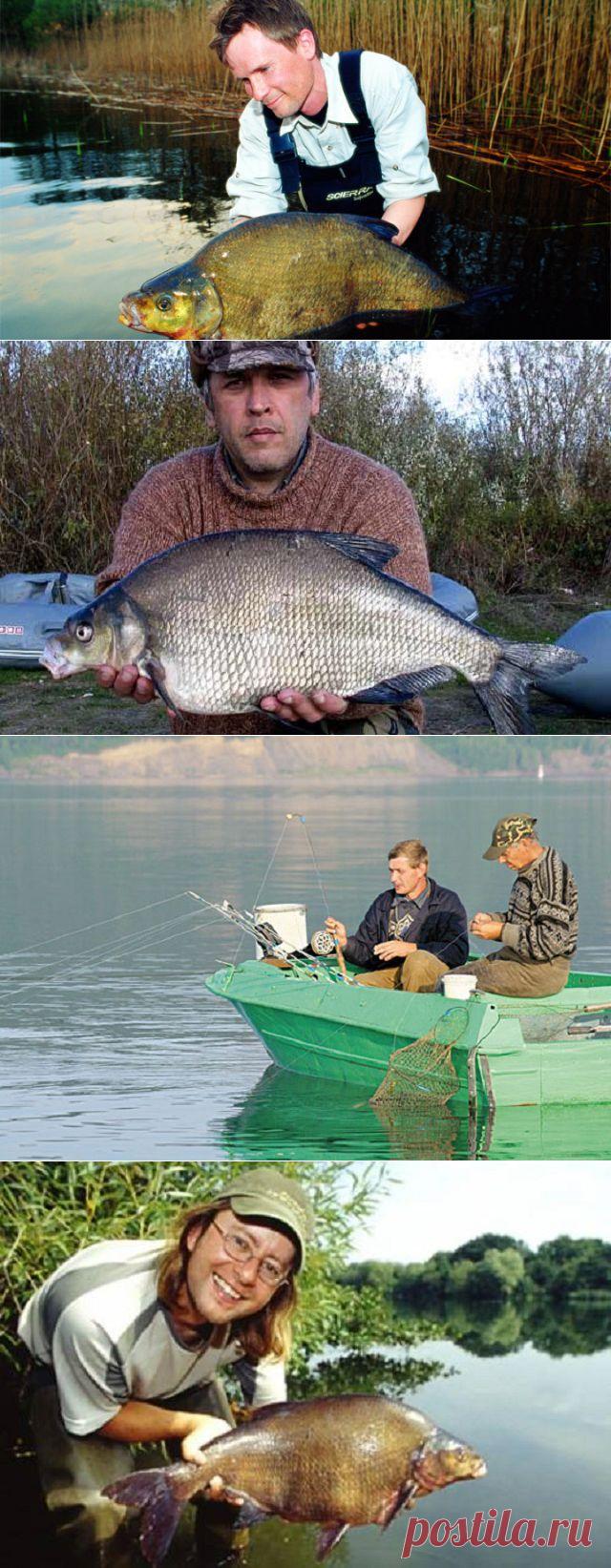 Про ловлю леща на реке