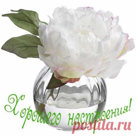 Светлана: Любой Каприз за ваши деньги!!!