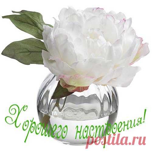 Светлана: Любой Каприз за ваши деньги!!!