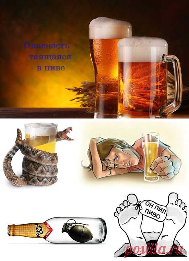 ВедаМост: Скрываемая правда о пиве