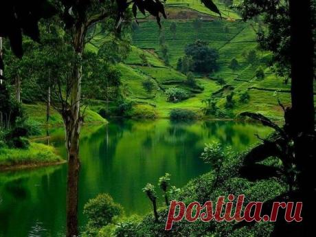 Мой Мир@Mail.Ru