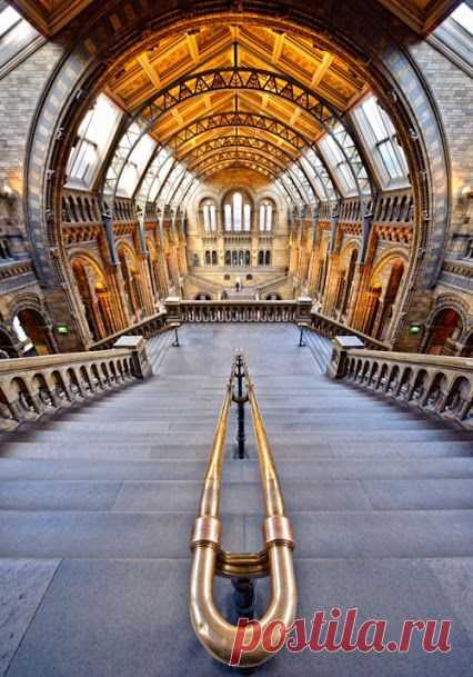 The amazing Natural History Museum, London