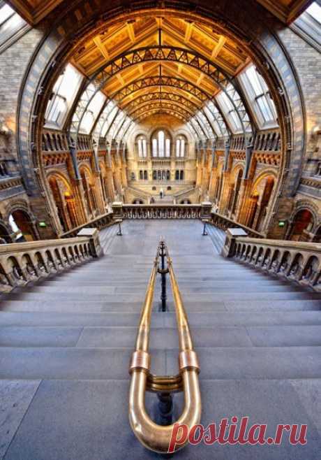 The amazing Natural History Museum, London