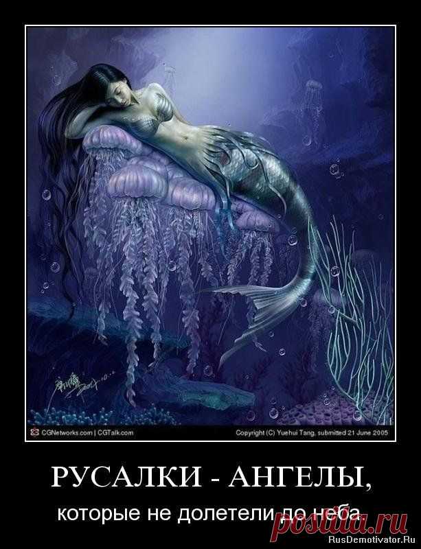 картинки красивые - Поиск в Google