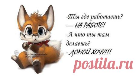 Интересные новости