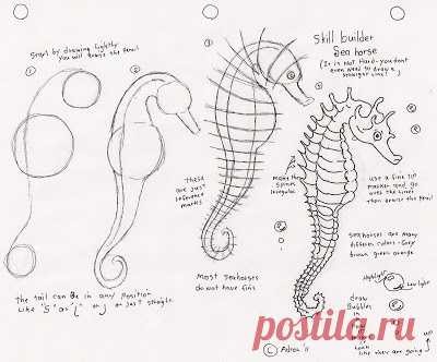 Adron's Art Lesson Plans: Spectrum Homeschool Art Lesson Plans март 3, 2011