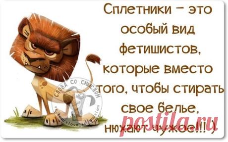 Столько вокруг «осведомленных» людей! Так и хочется иногда спросить «Как у МЕНЯ дела?» и «Что у МЕНЯ нового?»Господи, сделай так, чтобы люди, которых чужая жизнь интересует больше, чем своя, общались исключительно друг с другом!)говорят, что сплетники, осуждая человека забирают его грехи. Так что мне можно жить спокойно)Не стоит обращать внимание на сплетников в принятии любых жизненных вопросов. И пусть они за спиной точат лясы, — может, так наточат, что сами об них и порежутся…