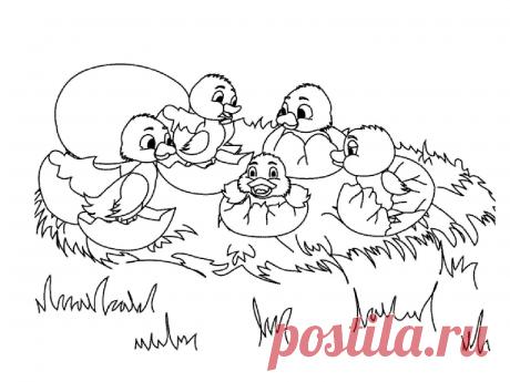 Картинка раскраска утенок