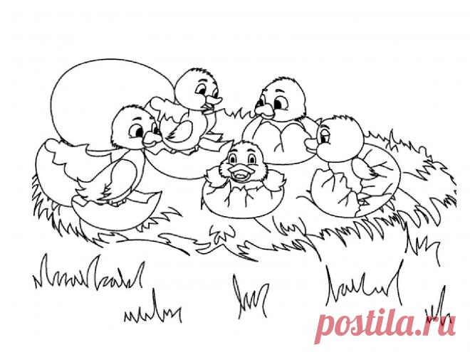 Картинка раскраска утенок