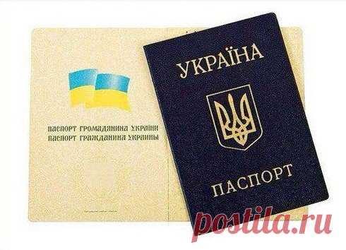 Виктория Грибовская (@GribovskayaVikt) | Твиттер