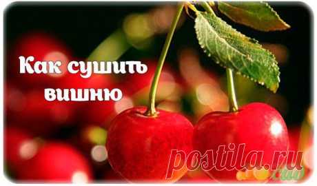 КАК СУШИТЬ ВИШНЮ.
