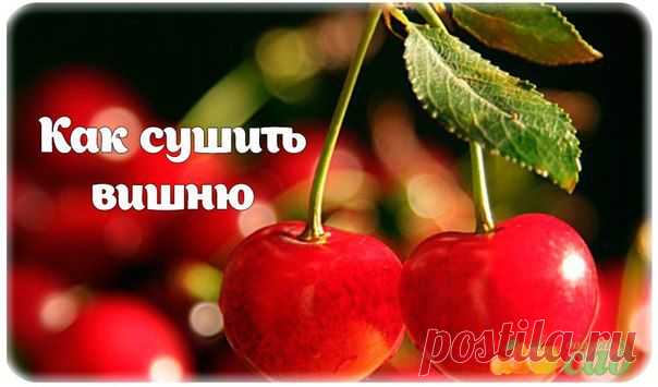 КАК СУШИТЬ ВИШНЮ.