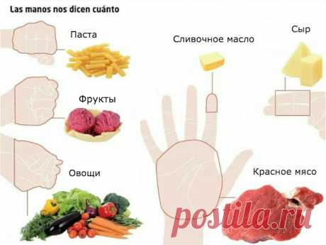 Сколько вы должны есть: считаем на пальцах