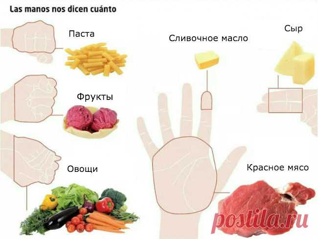Объяснение на пальцах: Сколько еды нужно съедать каждый день! Проще простого! На страницах научного журнала Guard Your Health опубликовали наглядное руководство о том, сколько разных продуктов люди должны съедать в течение дня. Это здоровая альтернатива диете: больше не нужно подсчитывать калории.Просто …