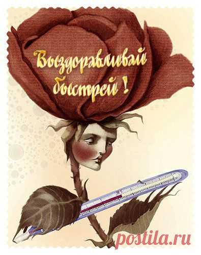 s-1133.jpg (395×500)