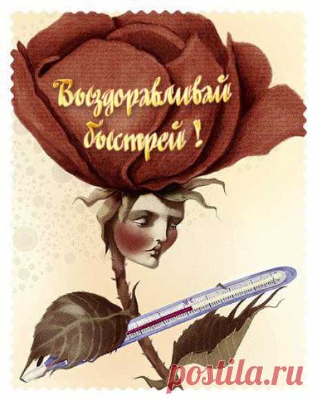 s-1133.jpg (395×500)
