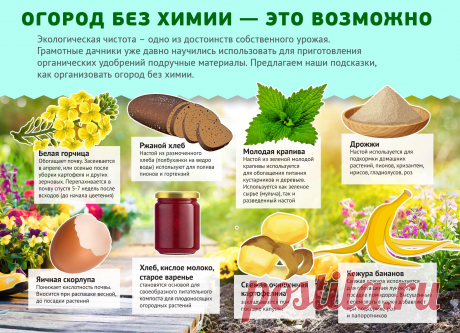 Огород без химии
