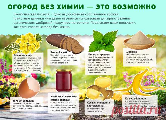 Огород без химии