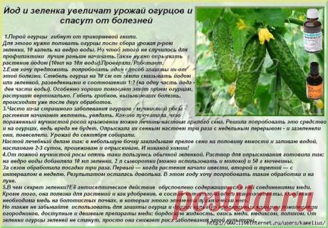 Дневник Елениной_Елены