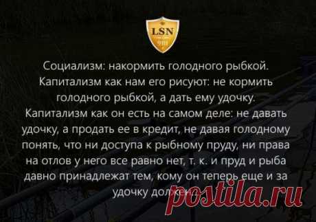 Афоризм на злобу дня